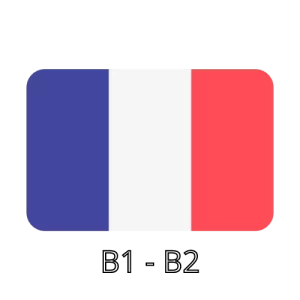 Formation français niveau B1-B2 Falcon Academy Apprenez en ligne cpf opco pole emploi