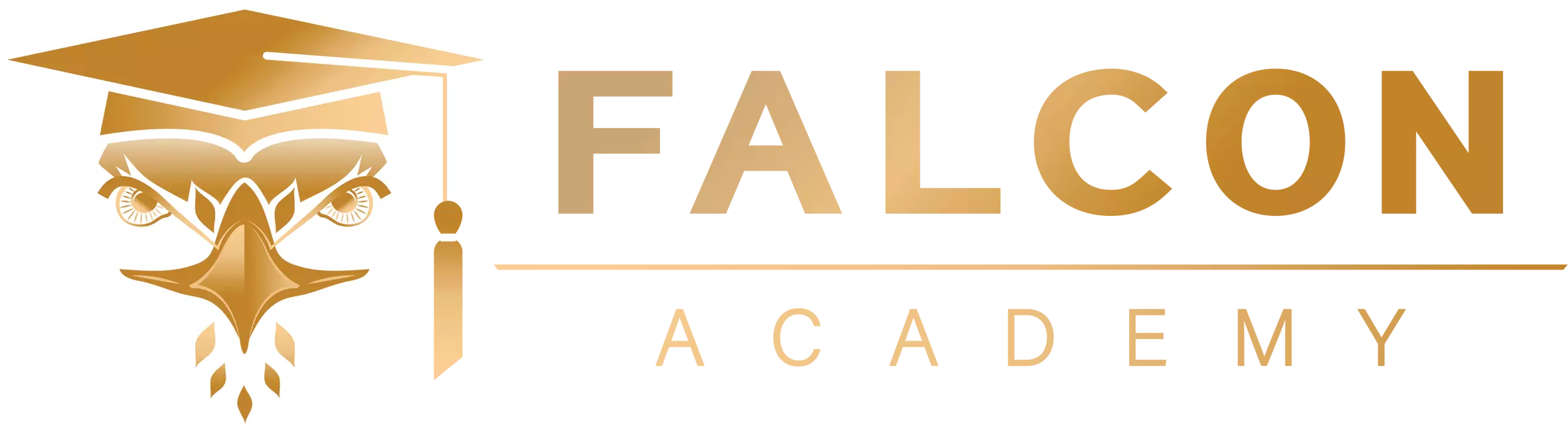 Falcon Academy Formation professionnelle