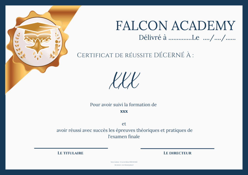 Falcon Academy Objectifs professionnels diplome